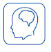 Brain
