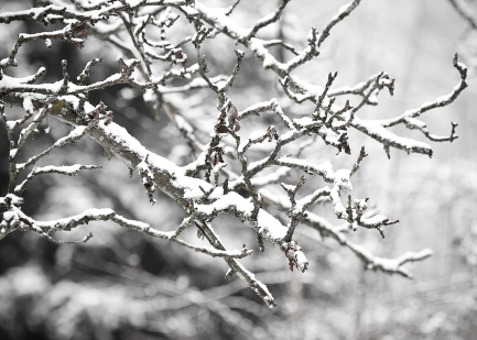 Winter Weather